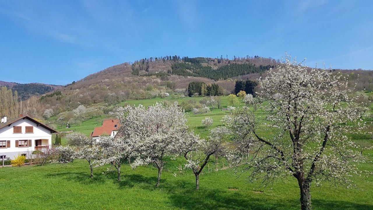 Le Breit Maison De Charme Avec Sa Dependance Breitenbach Exteriér fotografie